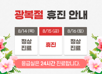 광복절 휴진